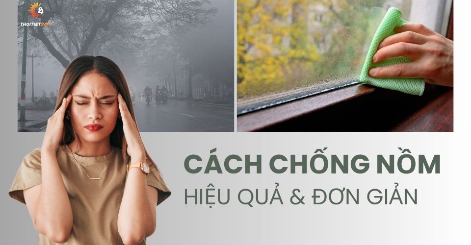 Cách Chống Nồm Hiệu Quả: 11 Phương Pháp Cực Dễ Áp Dụng Mùa Mưa Ẩm